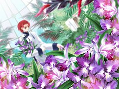 Yaoi images set 060