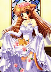 Wedding dress collection