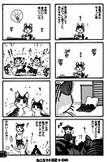 Fortune Fortune