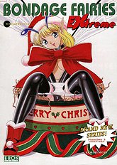 Bondage Fairies Extreme 3