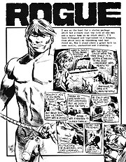 Rogue The Package