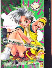 Gamerz Heaven Director's Cut Volumes