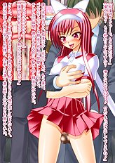 Incredible toys hentai set