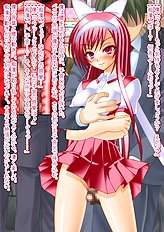 Incredible toys hentai set