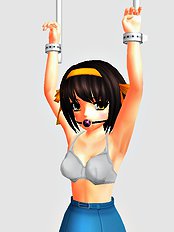 Polygonslaves Haruhi 1