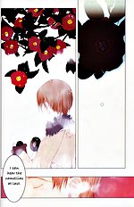 Okamax Ch. 'camellias' [okama] [ENG]