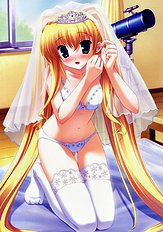 Wedding dress collection