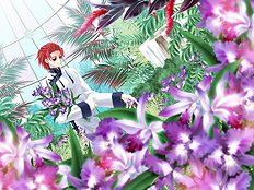 Yaoi images set 060
