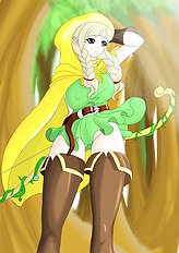 Dragons Crown 1