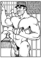 Querelle