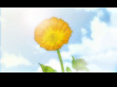 Yaoi images set 031