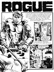 Rogue The Package
