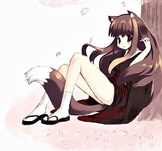 Tsukimi