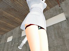 Polygonslaves Haruhi 1
