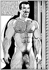 Querelle