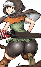 Dragons Crown 1