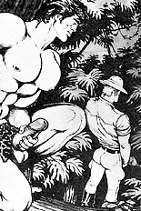 Tarzan Jim Of The Jungle
