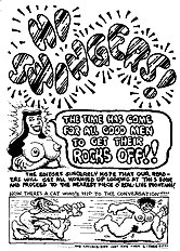 Fuckbook a collection of sexcomics (Crumb)
