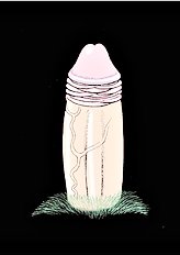 The Perfumed Garden 3