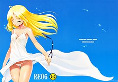 RE 06