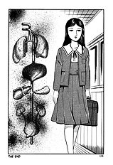 Jun Hayami - Beautiful Imprint