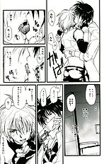 Gamerz Heaven Director's Cut Volumes