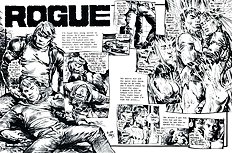 Rogue The Package