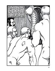 The Aryans 1