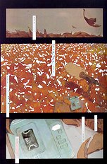 Okamax Ch. 'camellias' [okama] [ENG]