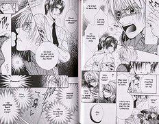 Kunshusama No Koi No Oaite Vol.2