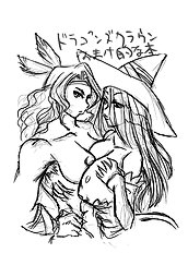 Dragons Crown 1