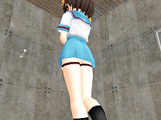 Polygonslaves Haruhi 1