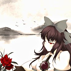 Water Lilies