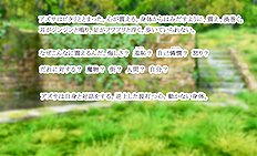 Fabulous outdoor, futanari, group hentai images