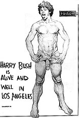 Harry Bush Art 1