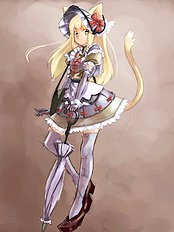Mimosa