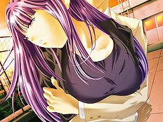 Sensei 2