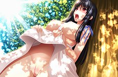 Mikamin Artwork Collection