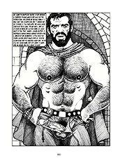 Crusaders