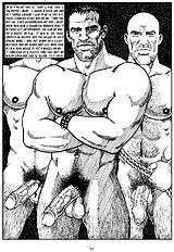 The Erection Crew