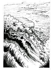 Coley Running Wild 5 - Destiny Coast