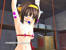 Polygonslaves Haruhi 1