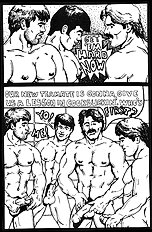 Cockfight