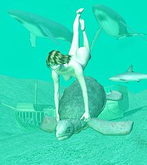3D Image Set 60