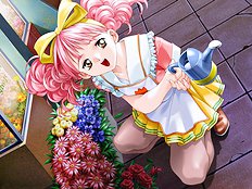 Doukyusei [Elf ]