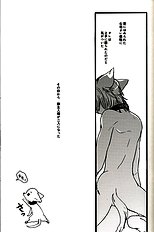 Gamerz Heaven Director's Cut Volumes