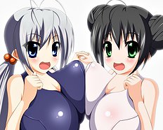 Midori Shinzo