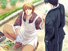 Yaoi images set 051