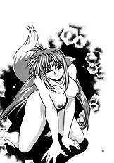 Kemonotachi No Bansan (Mahou Shoujo Lyrical Nanoha [Magical Girl Lyrical Nanoha]) [Studio Katsudon (Manabe Jouji)][ENG]