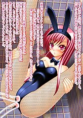 Incredible toys hentai set